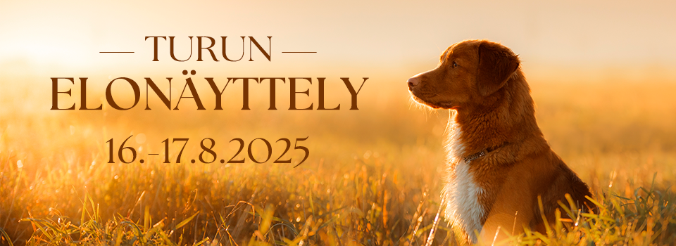  Turku KV Summer Dog Show 2024
